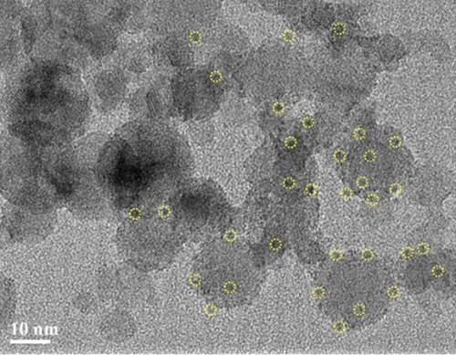 贵金属耦合光催化剂粉体透射电镜照片